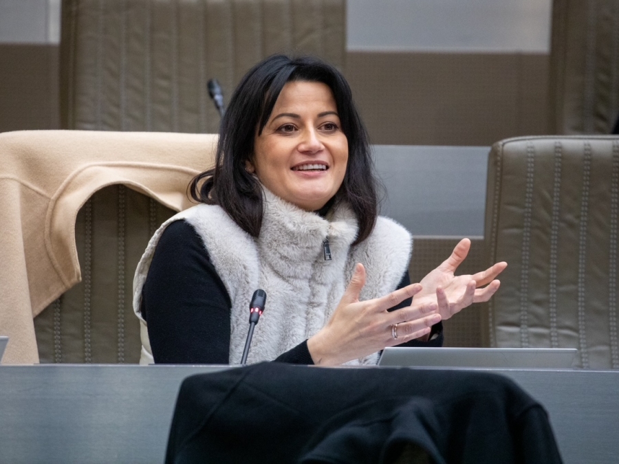 Meer aandacht voor het topkunstenstatuut Meer aandacht voor het topkunstenstatuut