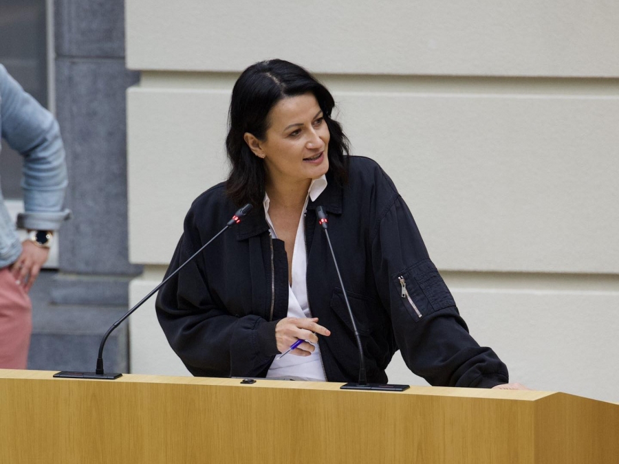 Waar blijft het grote plan van Zuhal Demir? Waar blijft het grote plan van Zuhal Demir?